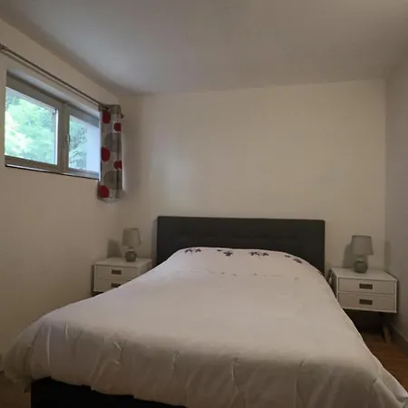 Apartment Les Volcans - Guillaume Lacoste La Bourboule